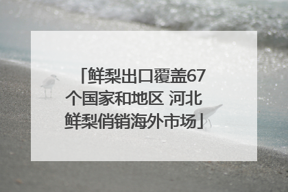 鲜梨出口覆盖67个国家和地区 河北鲜梨俏销海外市场