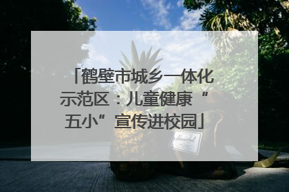 鹤壁市城乡一体化示范区：儿童健康“五小”宣传进校园