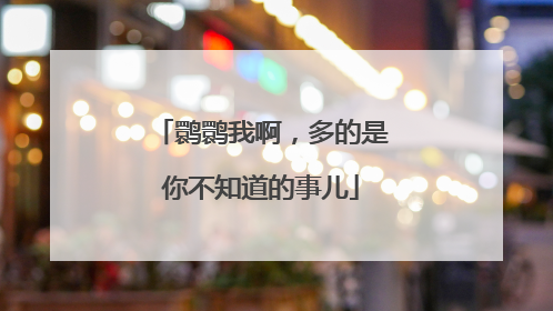 鹮鹮我啊，多的是你不知道的事儿