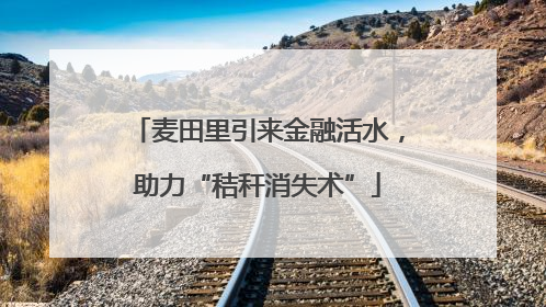 麦田里引来金融活水，助力“秸秆消失术”