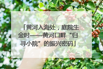 黄河入海处，庭院生金时——黄河口畔“归寻小院”的振兴密码