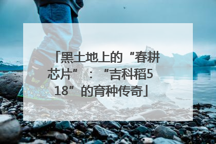 黑土地上的“春耕芯片”：“吉科稻518”的育种传奇