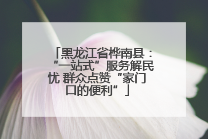 黑龙江省桦南县：“一站式”服务解民忧 群众点赞“家门口的便利”