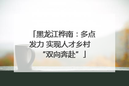 黑龙江桦南：多点发力 实现人才乡村“双向奔赴”