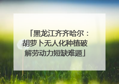 黑龙江齐齐哈尔：胡萝卜无人化种植破解劳动力短缺难题
