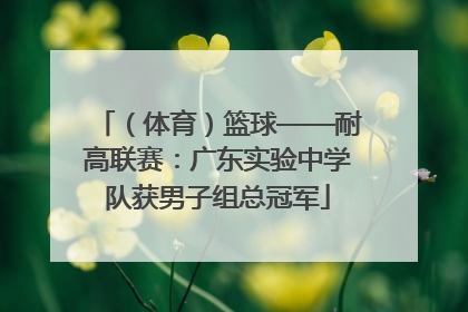 （体育）篮球——耐高联赛：广东实验中学队获男子组总冠军