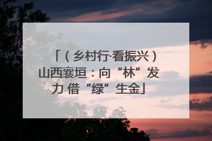 （乡村行·看振兴）山西襄垣：向“林”发力 借“绿”生金