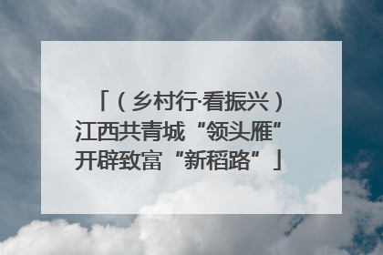 （乡村行·看振兴）江西共青城“领头雁”开辟致富“新稻路”