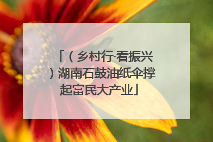 （乡村行·看振兴）湖南石鼓油纸伞撑起富民大产业