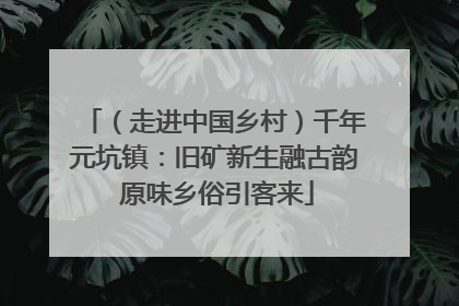 （走进中国乡村）千年元坑镇：旧矿新生融古韵 原味乡俗引客来