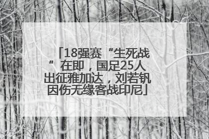 18强赛“生死战”在即，国足25人出征雅加达，刘若钒因伤无缘客战印尼