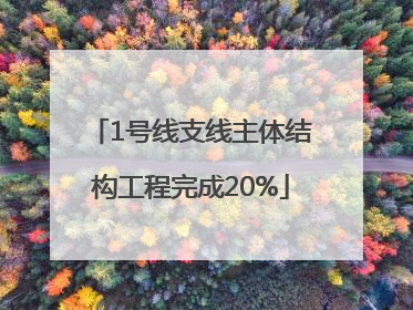 1号线支线主体结构工程完成20%