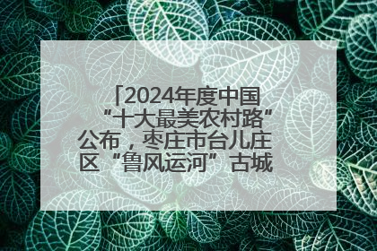 2024年度中国“十大最美农村路”公布，枣庄市台儿庄区“鲁风运河”古城文化廊道上榜！