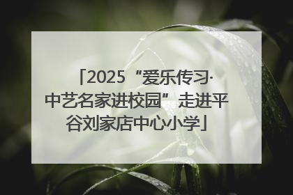 2025“爱乐传习·中艺名家进校园”走进平谷刘家店中心小学