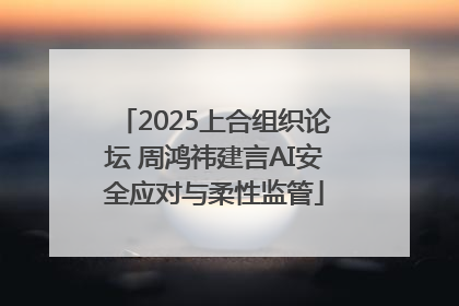 2025上合组织论坛 周鸿祎建言AI安全应对与柔性监管
