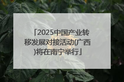 2025中国产业转移发展对接活动(广西)将在南宁举行