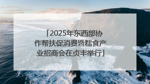 2025年东西部协作帮扶促消费暨糯食产业招商会在贞丰举行