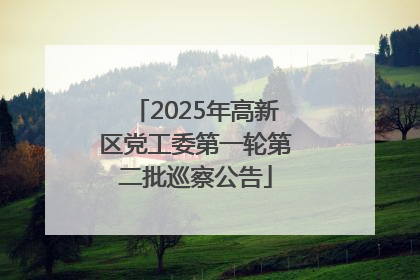 2025年高新区党工委第一轮第二批巡察公告