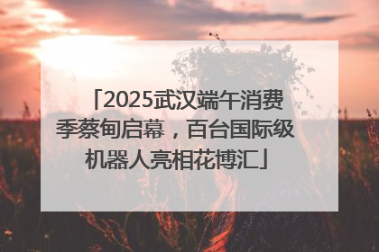 2025武汉端午消费季蔡甸启幕，百台国际级机器人亮相花博汇