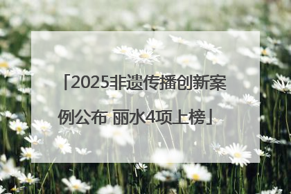 2025非遗传播创新案例公布 丽水4项上榜