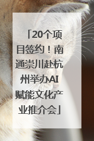 20个项目签约！南通崇川赴杭州举办AI赋能文化产业推介会