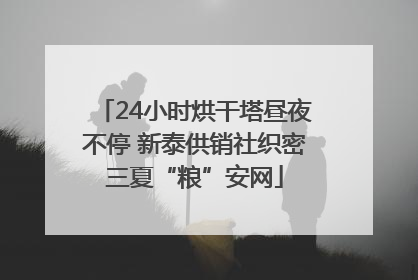 24小时烘干塔昼夜不停 新泰供销社织密三夏“粮”安网