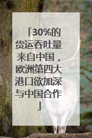30%的货运吞吐量来自中国，欧洲第四大港口欲加深与中国合作