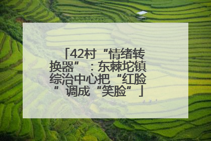 42村“情绪转换器”：东棘坨镇综治中心把“红脸”调成“笑脸”
