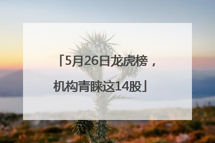 5月26日龙虎榜，机构青睐这14股