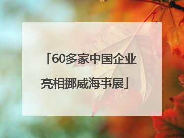 60多家中国企业亮相挪威海事展