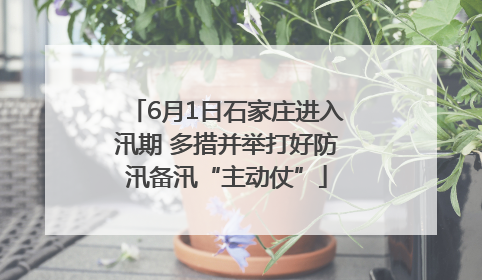 6月1日石家庄进入汛期 多措并举打好防汛备汛“主动仗”