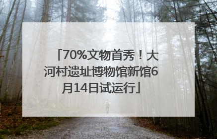 70%文物首秀！大河村遗址博物馆新馆6月14日试运行