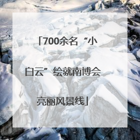 700余名“小白云”绘就南博会亮丽风景线