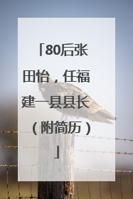 80后张田怡，任福建一县县长（附简历）