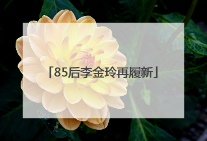 85后李金玲再履新