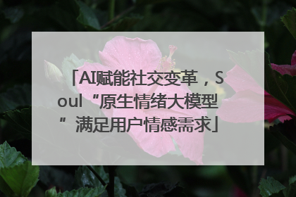 AI赋能社交变革，Soul“原生情绪大模型”满足用户情感需求