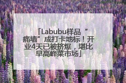 Labubu样品“痛墙”成打卡地标！开业4天已被挤爆，堪比早高峰菜市场