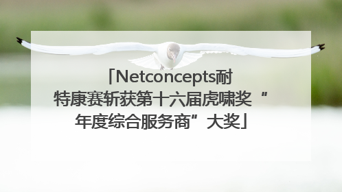 Netconcepts耐特康赛斩获第十六届虎啸奖“年度综合服务商”大奖